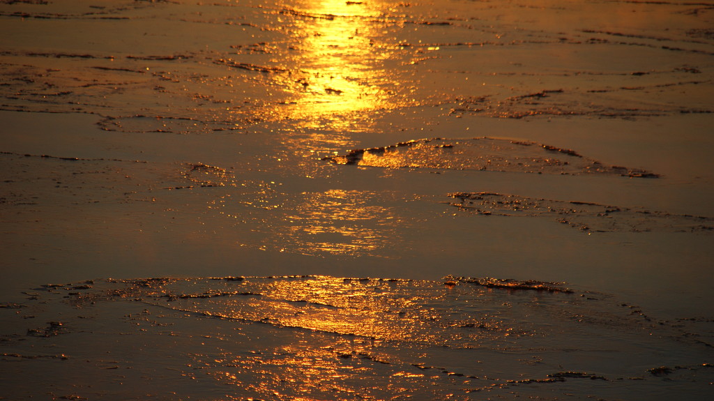Liquid Gold by selkie