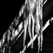 Icicles by taffy