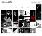 28th Feb 2015 - Flash of Red February 2015