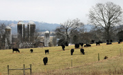 1st Mar 2015 - Rural Tennessee