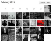 28th Feb 2015 - Flash-of-Red 2015