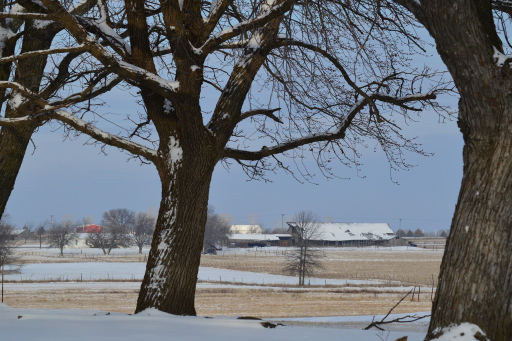 Rural Kansas Winter Scene by kareenking