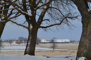 1st Mar 2015 - Rural Kansas Winter Scene