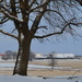 Rural Kansas Winter Scene by kareenking