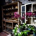Potting Shed by redy4et