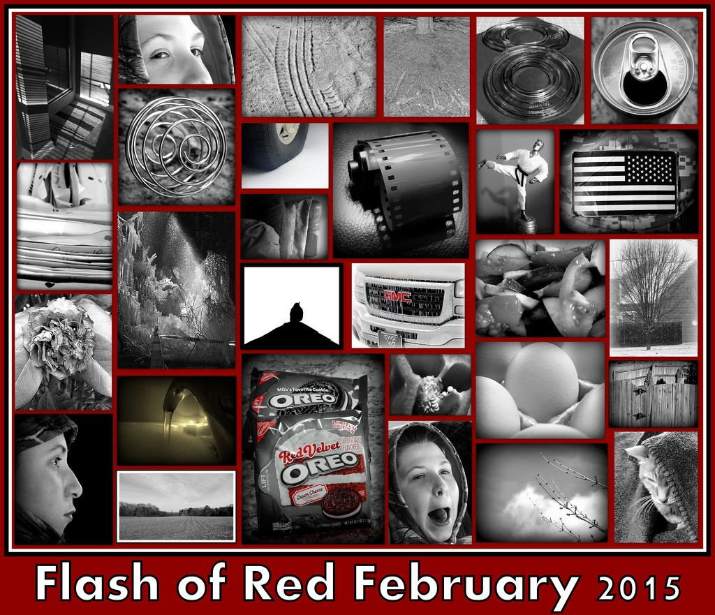 My month of Flash of Red! by homeschoolmom