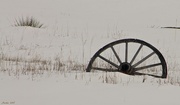 1st Mar 2015 - Buried Wagon Wheel
