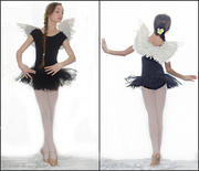 1st Mar 2015 - Fairy Diptch - Get Pushed Challenge - fairy-tale overtones - diptych
