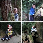 1st Mar 2015 - Hike in the Woods