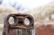 2nd Mar 2015 - Remains of a groyne