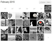 27th Feb 2015 - Flash of Red February 2015