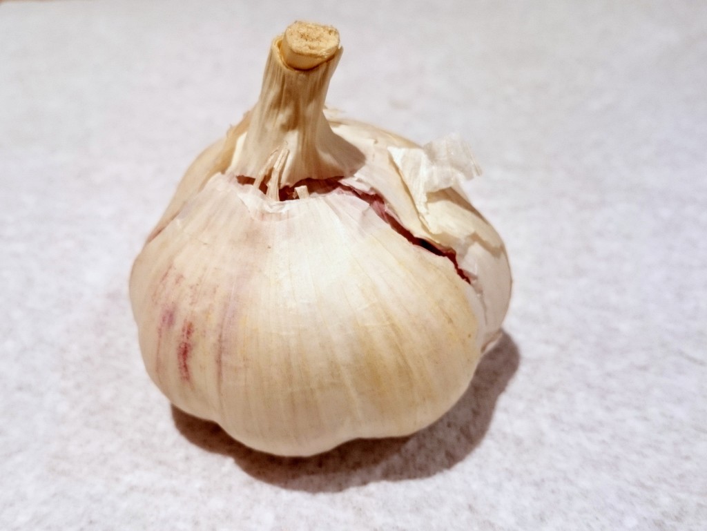 Garlic by boxplayer