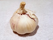 26th Feb 2015 - Garlic