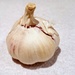 Garlic by boxplayer
