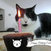 Cubbie's Birthday by randy23