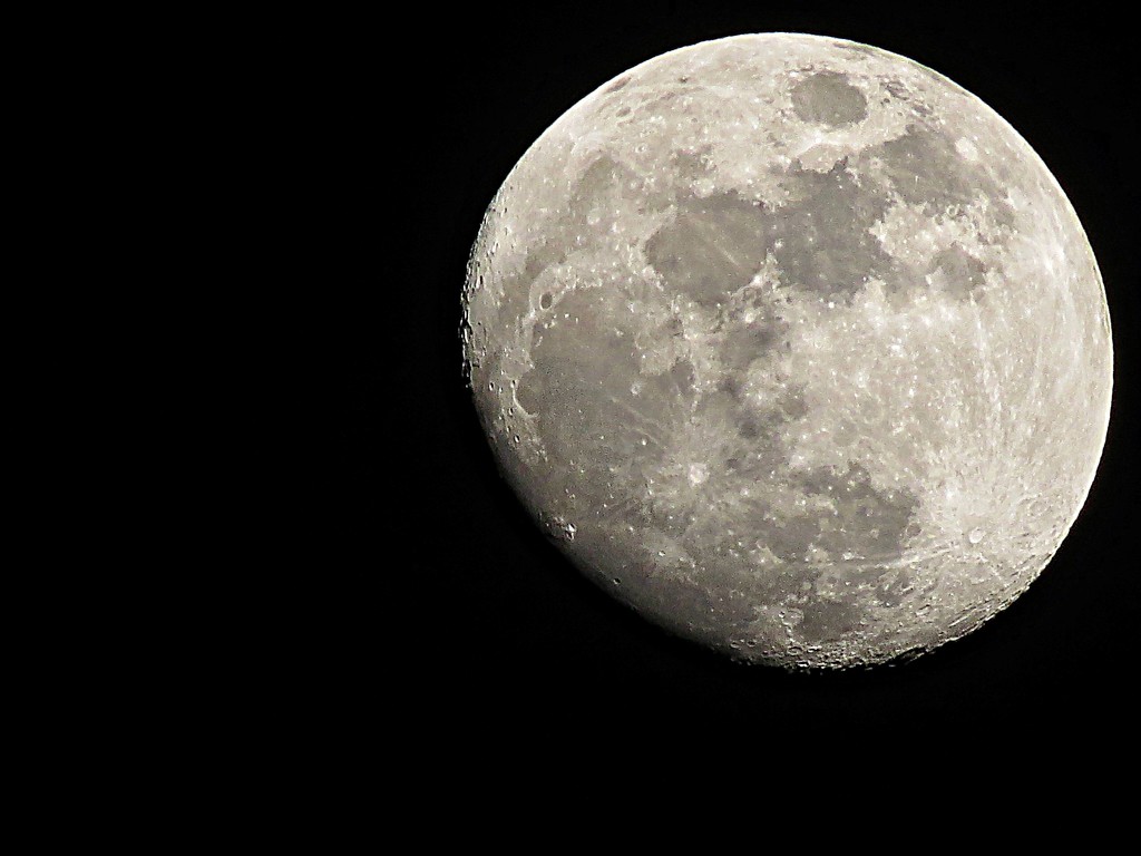 Moon Shot March 2 by olivetreeann