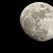Moon Shot March 2 by olivetreeann
