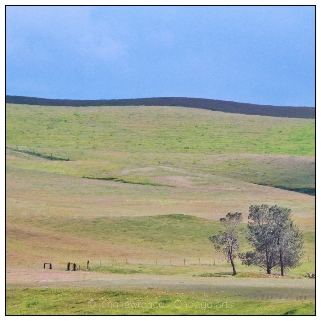 Blue Sky, Green Hills and a Tree or Two by aikiuser