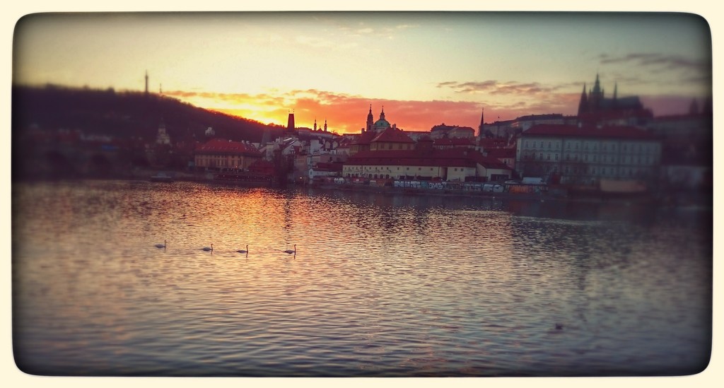 Sunset On The Vltava, Prague  by carolmw
