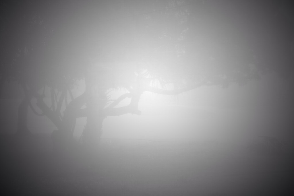 Beyond the fog lies clarity by joemuli