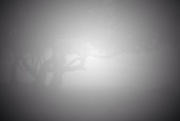 3rd Mar 2015 - Beyond the fog lies clarity