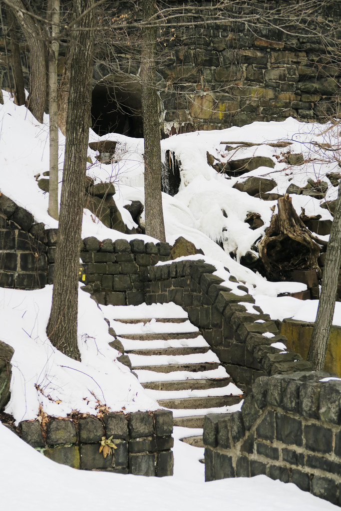 Snow Covered Steps by april16