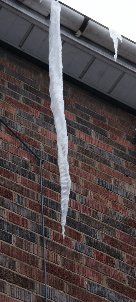 Killer Icicle by selkie