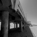 Huntington Beach Pier  by cndglnn