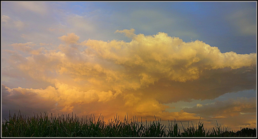 Evening clouds by dide