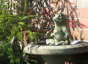 4th Mar 2015 - Ommmm -- Yoga Frog