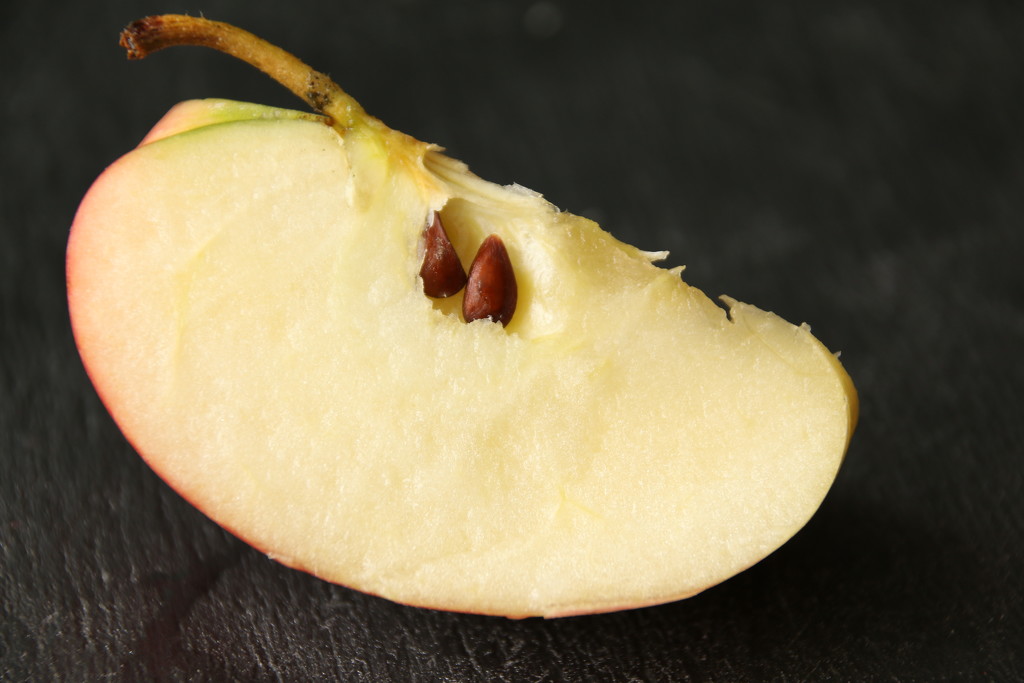 Slice of Apple by bizziebeeme