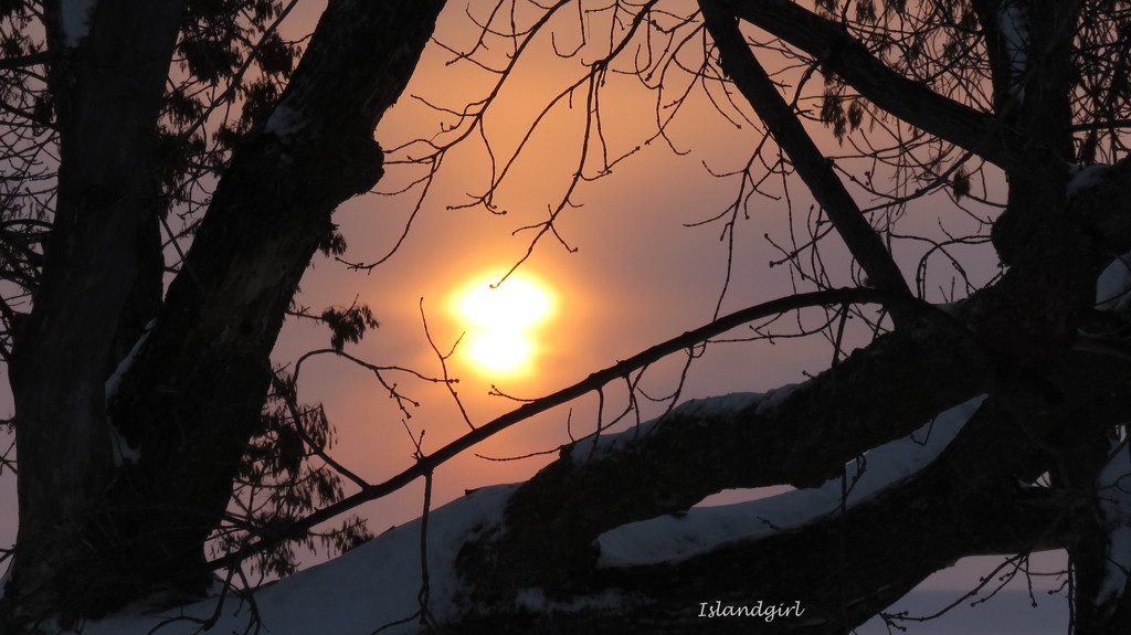 Sunrise on a winter's morning   by radiogirl