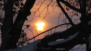 5th Mar 2015 - Sunrise on a winter's morning  