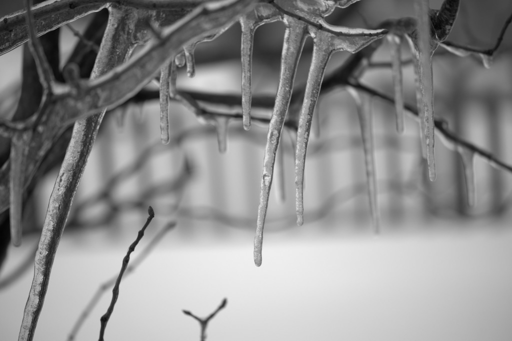 The Icicles of March by jayberg