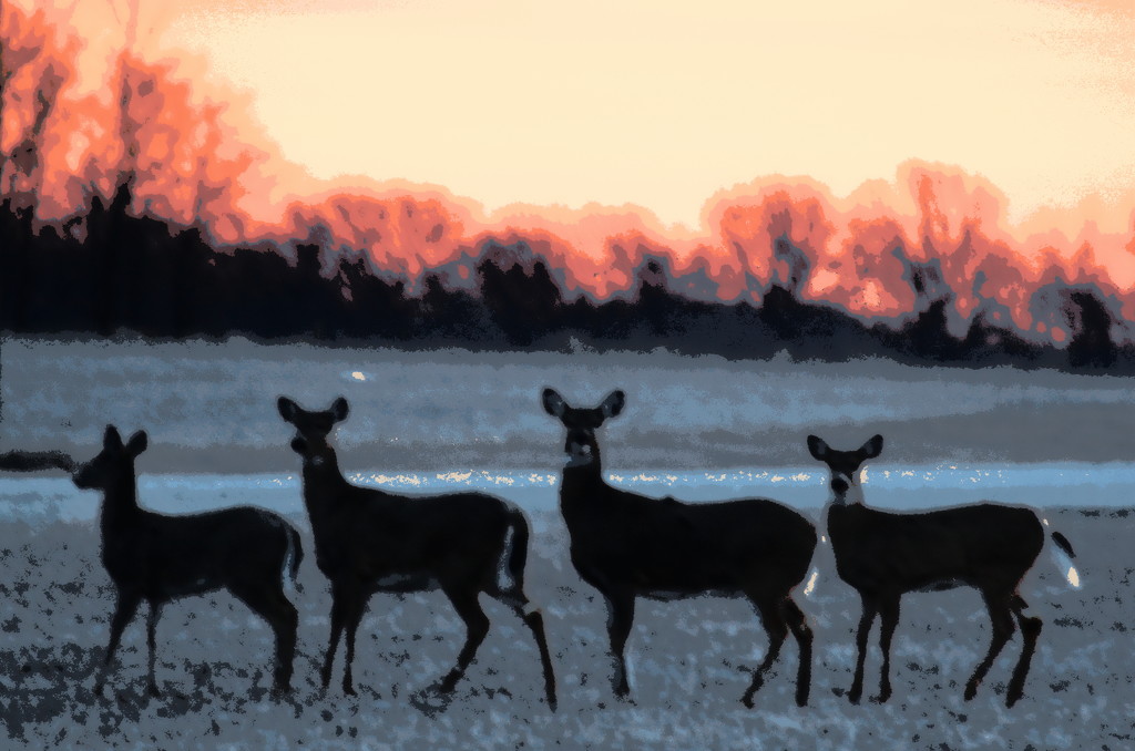 Four Deer at Sunrise by kareenking