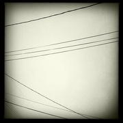 4th Mar 2015 - Winter Wires