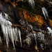 Icicles Hanging from the Bluff by milaniet