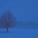 Lonely Fog by sbolden