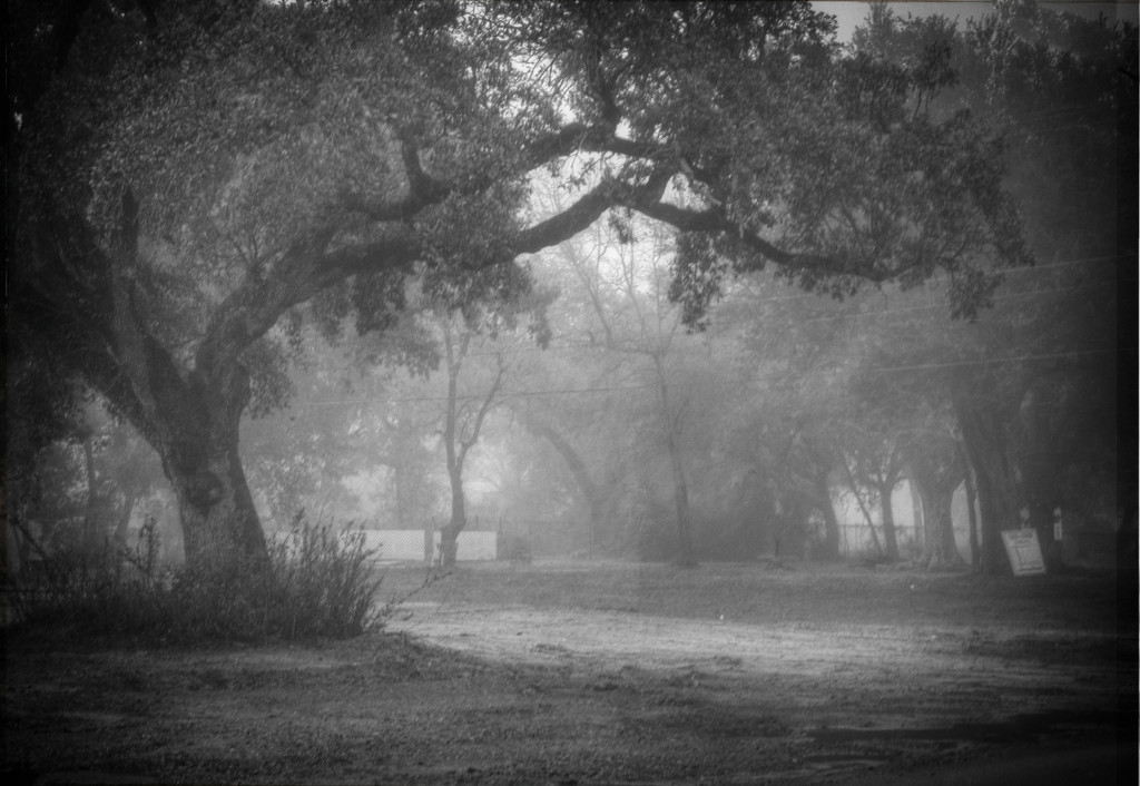 Southern Gothic by khrunner
