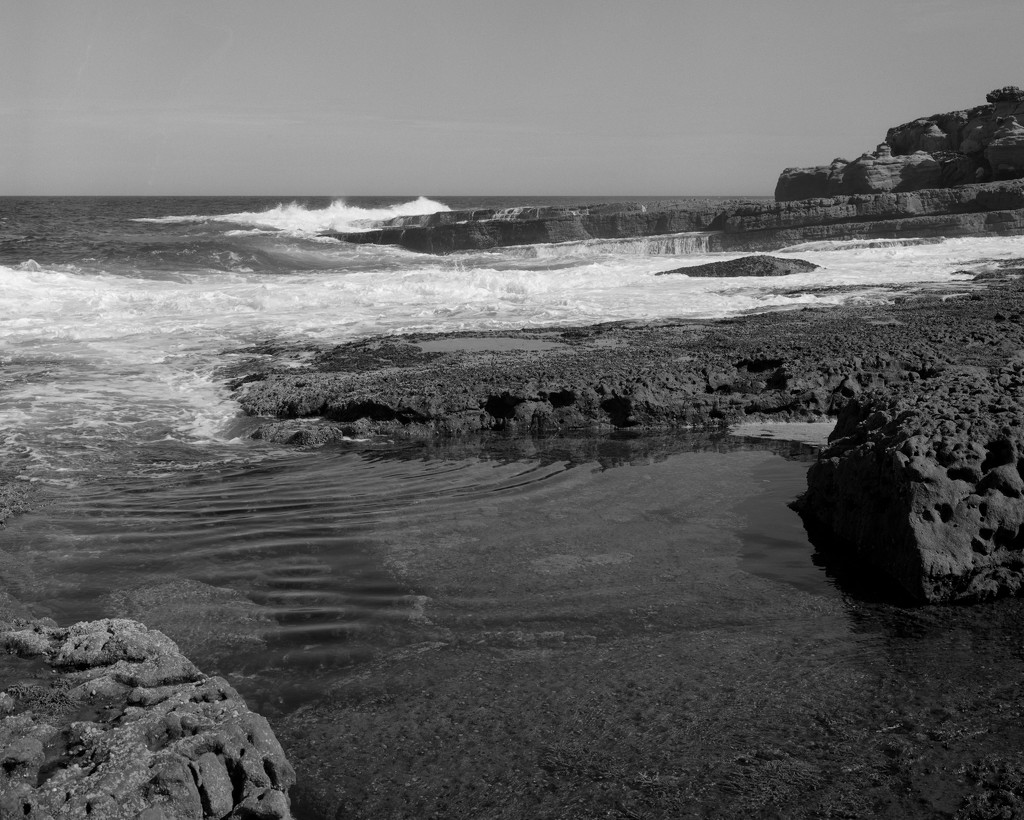 Tidal Pool by peterdegraaff