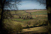 5th Mar 2015 - More Wiltshire countryside