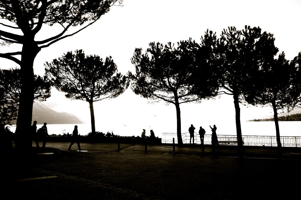 A walk by the lake by cocobella