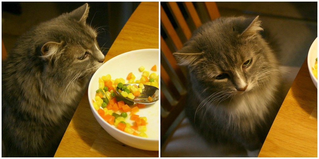 I don't like vegetables mom by mittens