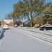 Beautiful Snowfall by lynne5477