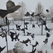 The Birds! by kdrinkie