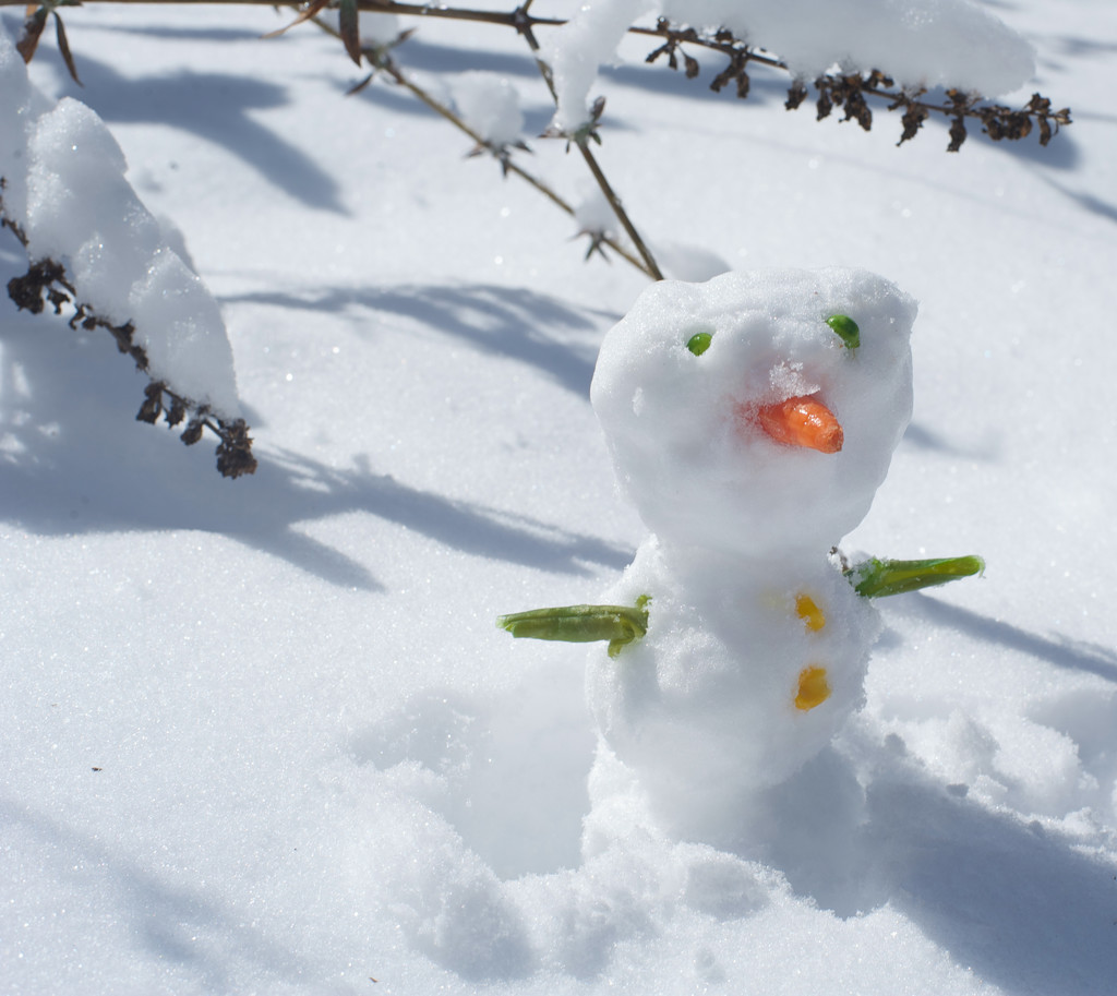 Vegetable Snowman by loweygrace