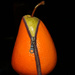 Healthy pear by ingrid01