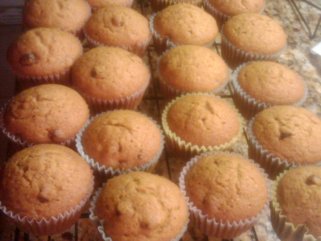 Homemade Pumpkin Muffins by graceratliff