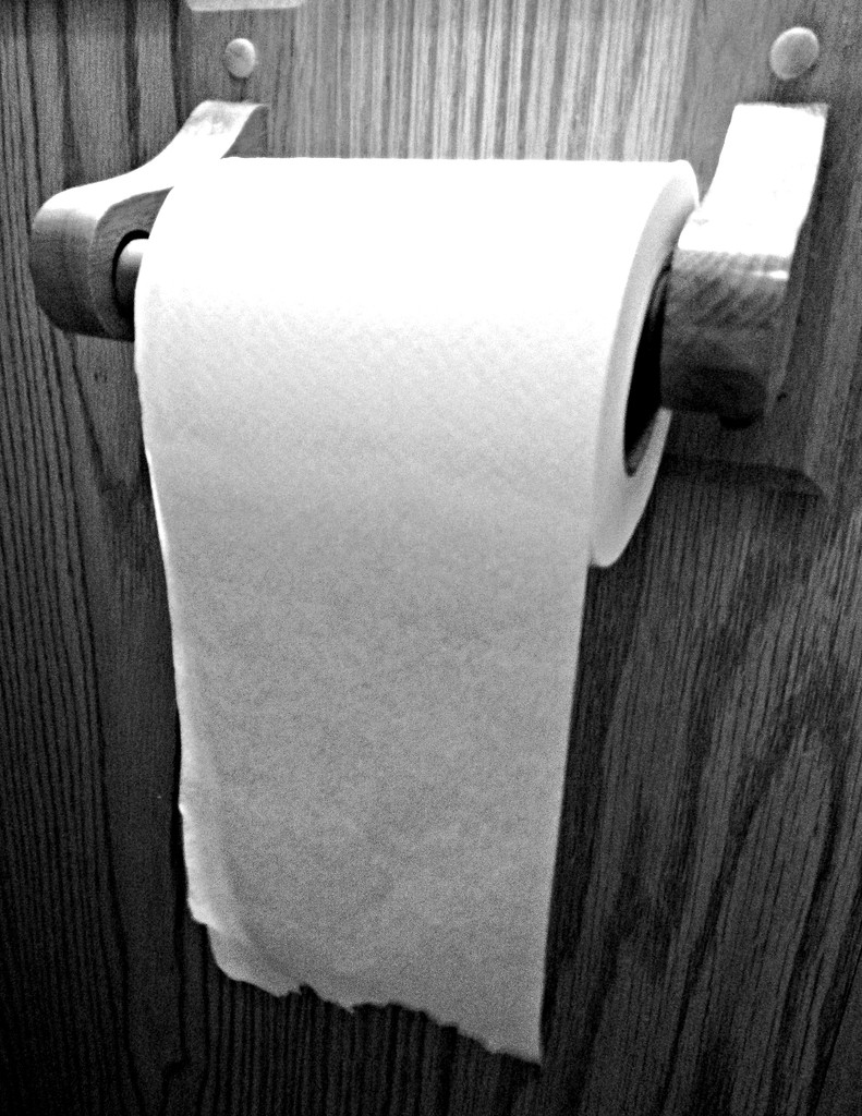 Toilet Paper by jo38