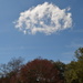 I thought this was such an unusual cloud. by congaree